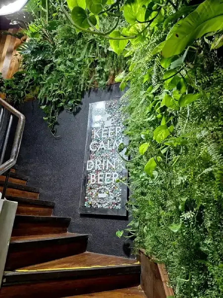 Muro verde selvático junto a la escalera de la Confitería Central de Temuco