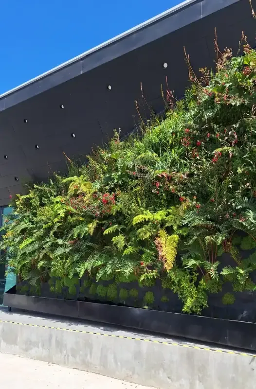 Jardín vertical exterior con helechos, chilcos y nalcas en el edificio de la concesionaria del Puente Industrial