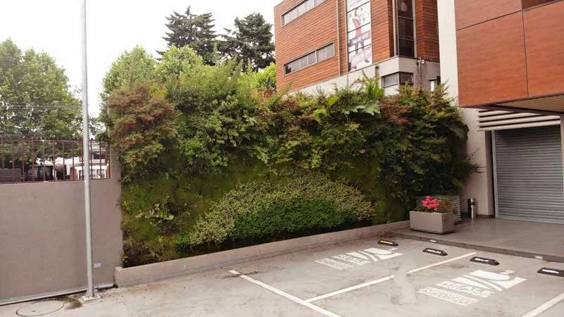 Muro verde en el acceso del Edificio Buró, Temuco