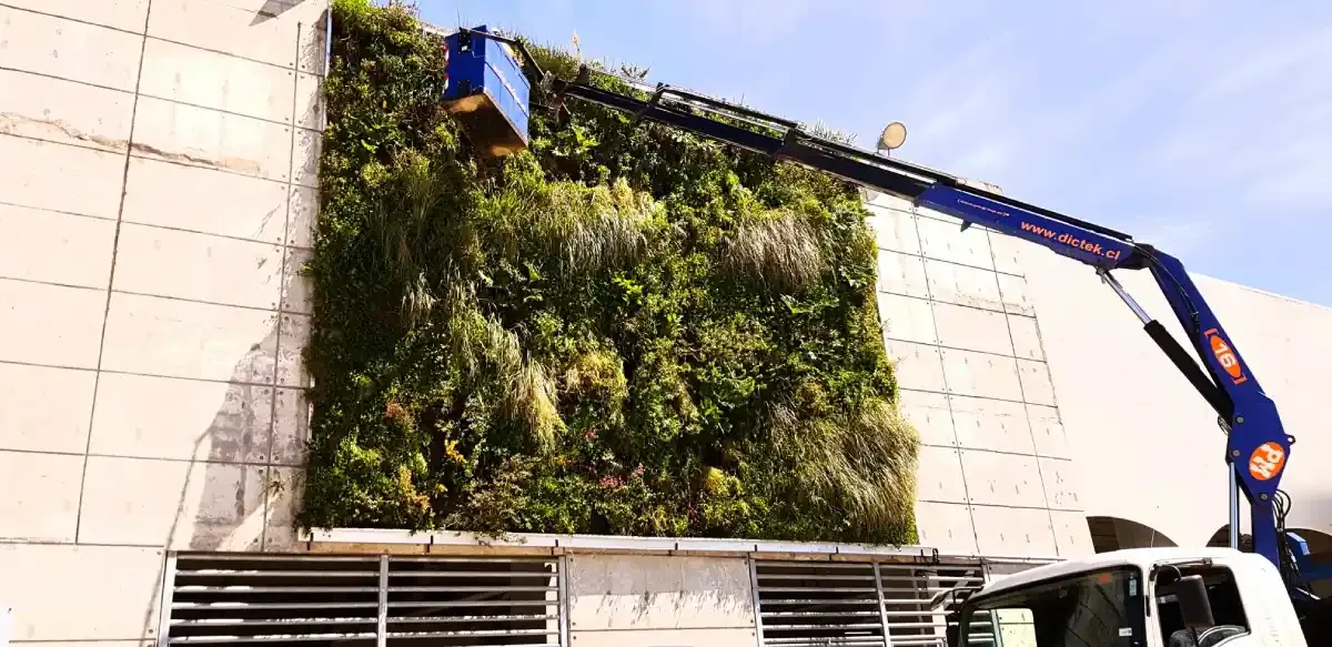Muro verde frondoso con helechos y fucsias