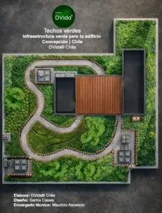 Plano de un techo verde diseñado por DVida® en Concepción