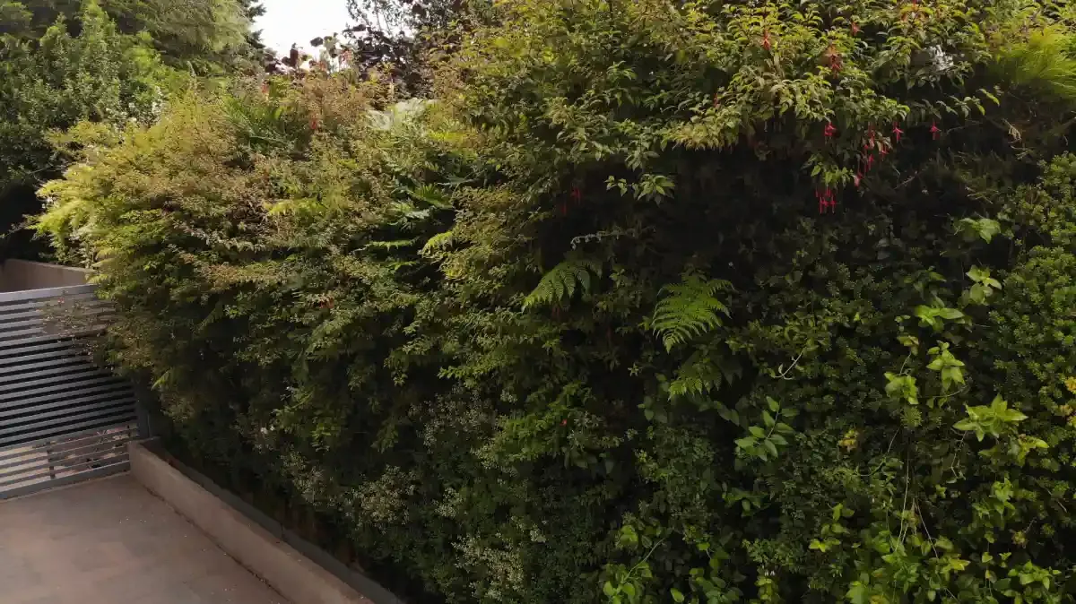 paisajismo edificio sustentable muros verdes