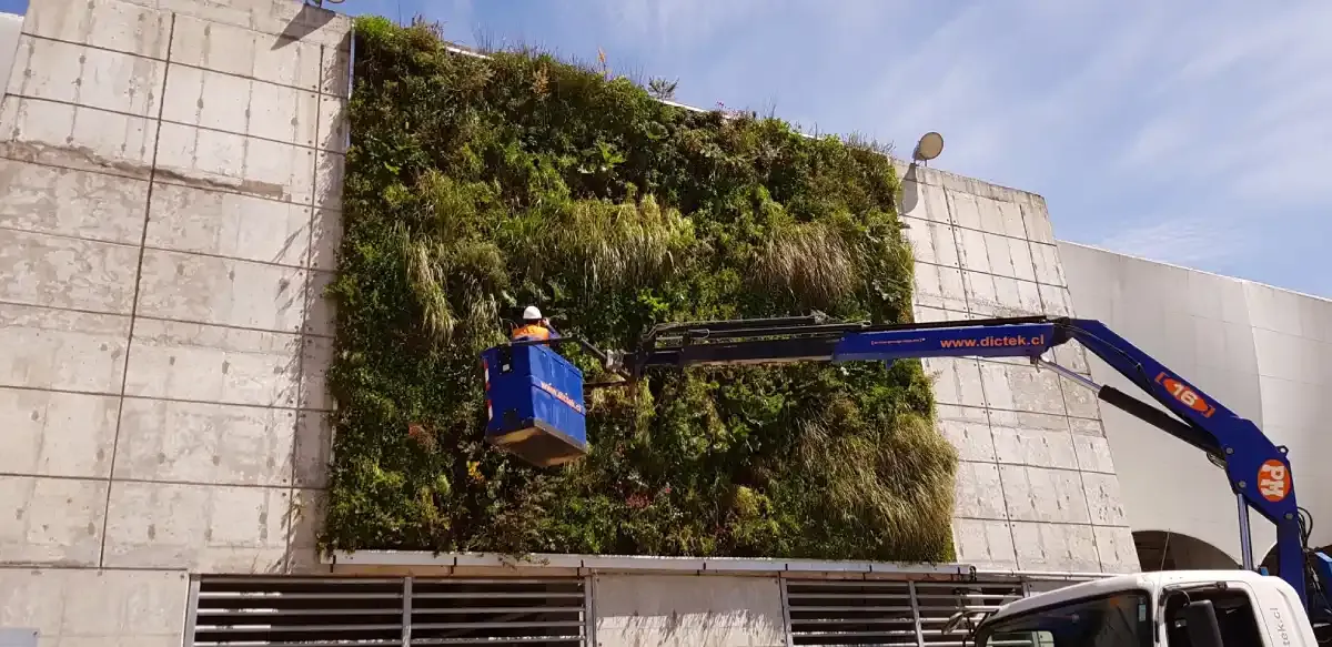 Equipo de DVida® instalando el muro verde del Estadio Germán Becker desde un camión grúa