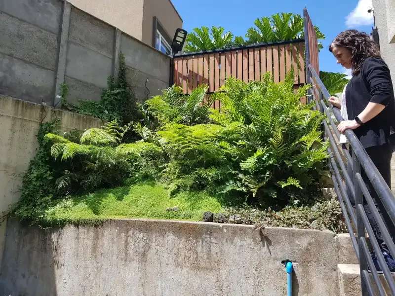Mantencion de areas verdes y jardines dvida