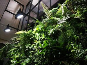 muros-verdes-y-naturaleza-en-educacion-teodoro-wickel